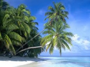 Maldive
