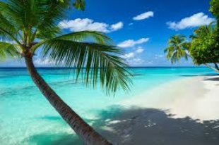 Maldive