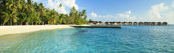 Maldive  