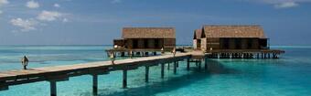 Maldive  