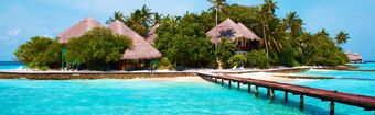 Maldive  