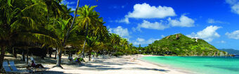 Caraibi  