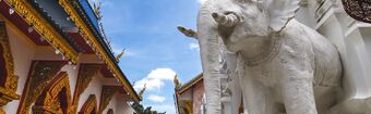 Thailandia  Sud-est asiatico