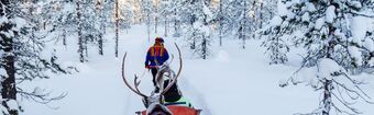 Lapponia Finlandia Scandinavia