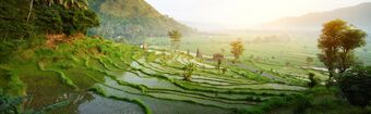Bali Indonesia Sud-est asiatico