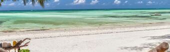 Zanzibar Tanzania Africa