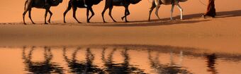 Kelibia Africa Tunisia