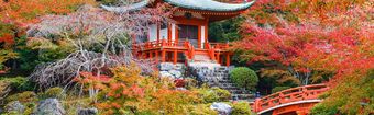 Giappone  Asia orientale
