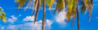 Varadero Cuba Antille