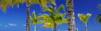 Mauritius  