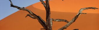 Namibia Namibia Omaheke