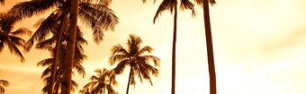 Thailandia  Sud-est asiatico