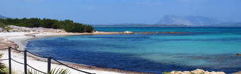 Sardegna  Italia