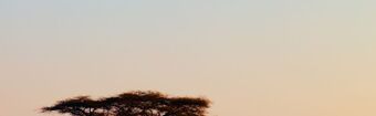Kenya  