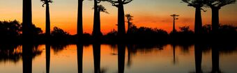 Madagascar  