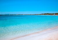 mare