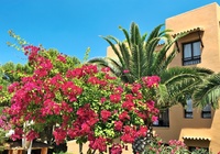 EdenVillage Tarida Playa