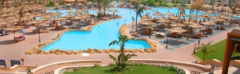 Sharm el Sheikh Egitto Mar Rosso