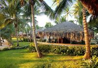 Viva Wyndham Dominicus Beach