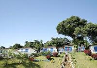 Dbeach Resort