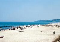 Marina Manna Club