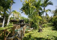 iClub Park Club Europe