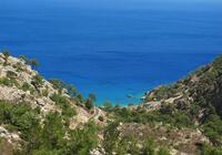 Alimounda Mare