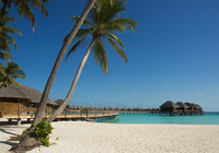 Vilu Reef Beach & Spa