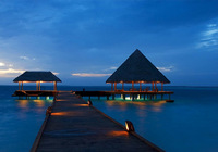 Vilu Reef Beach & Spa