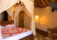 Vilu Reef Beach & Spa