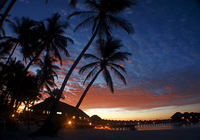 Vilu Reef Beach & Spa