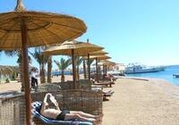 Albatros Palace Resort