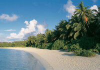 Sun Island Resort & Spa