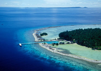 Kura Kura Resort