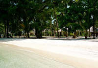 Kura Kura Resort