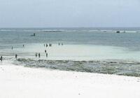 SeaClub Kole Kole