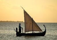 Coco Palm Dhuni Kolhu Resort & Spa