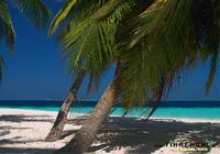 Fihalohi Island Resort